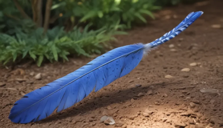 Blue Jay Feather Spiritual Meaning: A Comprehensive Guide