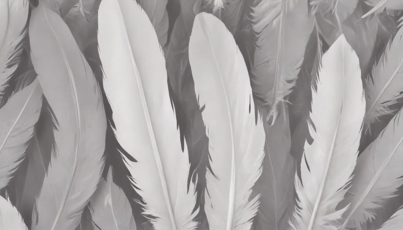 Grey and White Feather Spiritual Meaning: A Comprehensive Guide