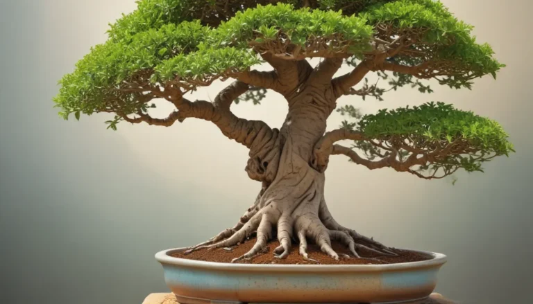 The Spiritual Meaning of a Bonsai Tree: A Comprehensive Guide