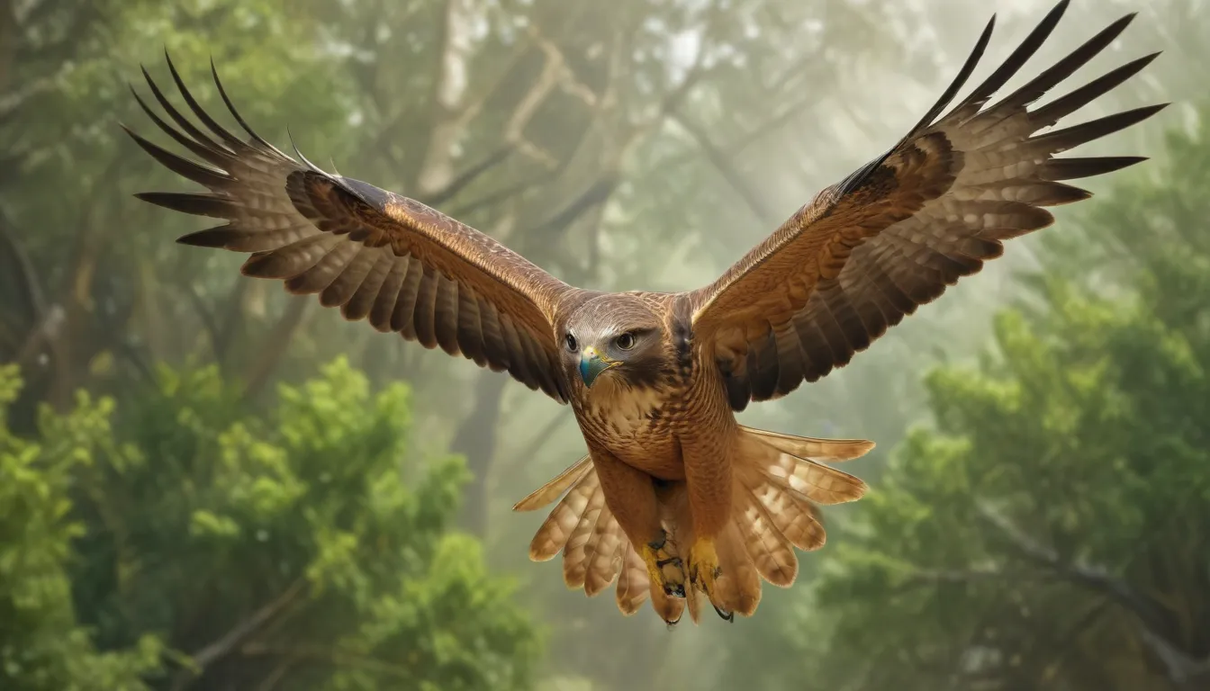 The Spiritual Meaning of a Hawk Flying Over You: A Comprehensive Guide