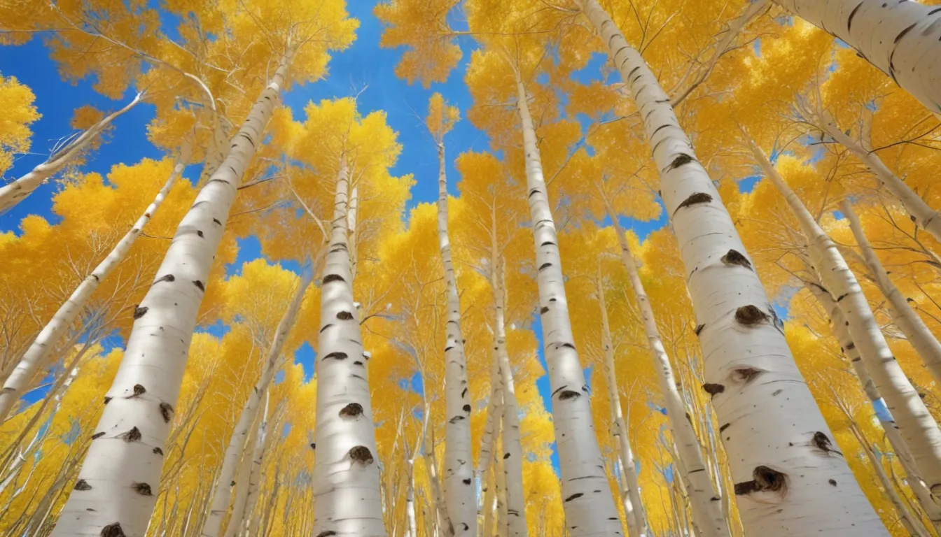 Spiritual Meaning of Aspen Trees: An In-Depth Guide