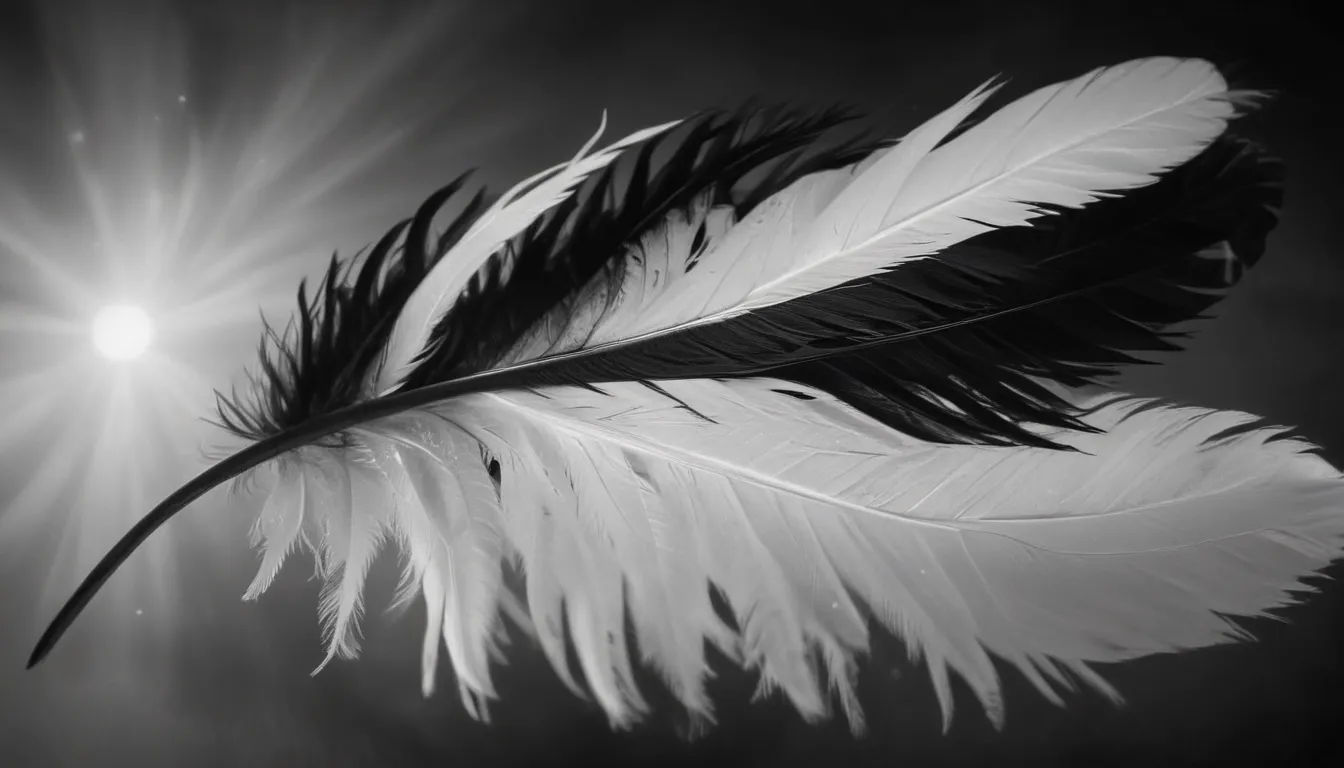 The Spiritual Meaning of Black and White Feathers: An In-Depth Guide