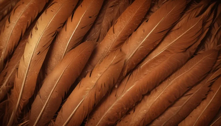 The Spiritual Meaning of Brown Feathers: A Comprehensive Guide