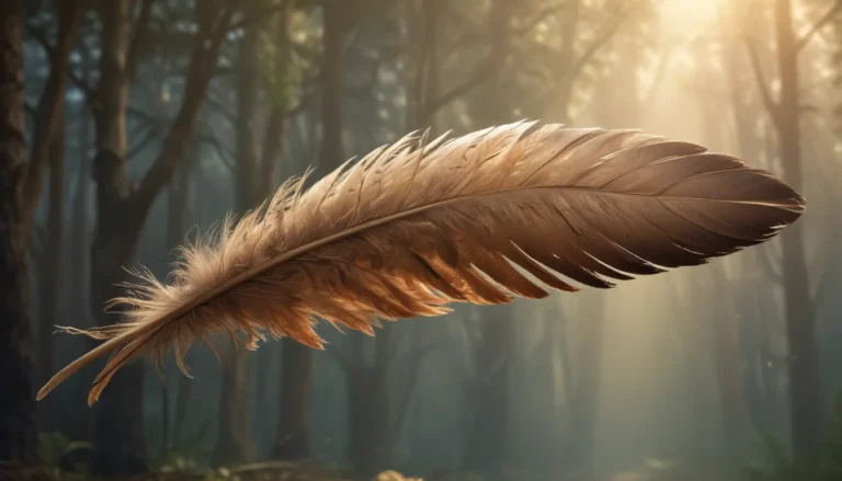 The Spiritual Meaning of Finding a Hawk Feather: A Comprehensive Guide