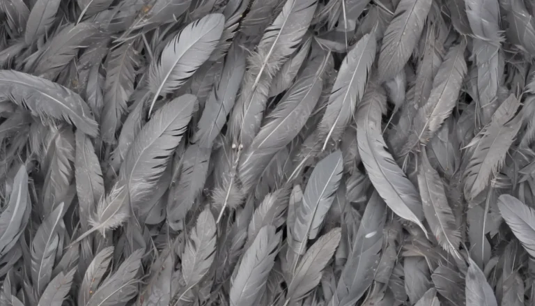 The Spiritual Meaning of Grey Feathers: An In-Depth Guide