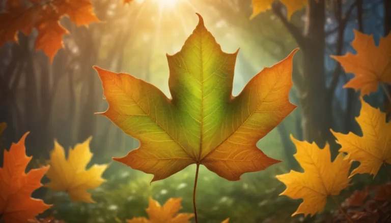 The Spiritual Meaning of Maple Leaf: A Comprehensive Guide