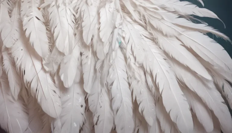 Profound Spiritual Meaning of White Feathers: A Guide to Heavenly Messages