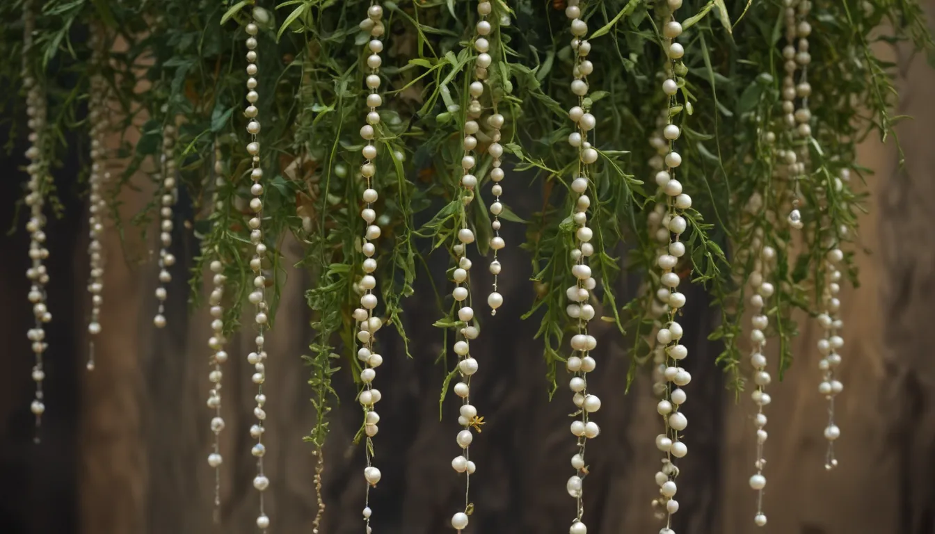 String of Pearls Plant Spiritual Meaning: A Comprehensive Guide